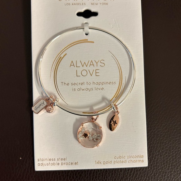 Unwritten Jewelry - Giveaways 14k gold plated Charms with stainless steel bracelet